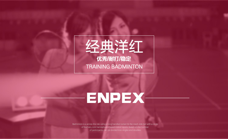ENPEX乐士训练级羽毛球NO.300 (12只装）