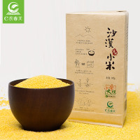 e农春天 任小米 内蒙古阿拉善沙漠节水黄小米